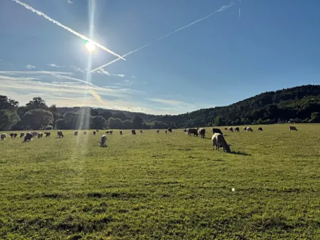 Prodej chaty, Nespeky, 50 m2