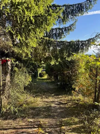 Prodej chaty, Nespeky, 50 m2