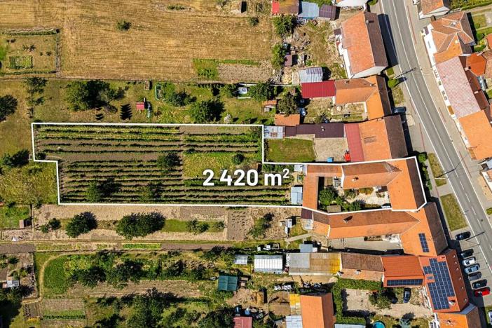 Prodej rodinného domu, Bulhary, 134 m2