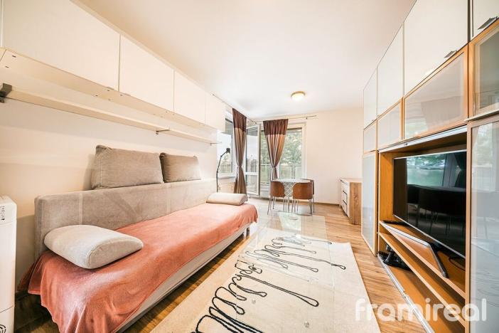 Pronájem bytu 1+kk, Brno, Pahrbek, 27 m2