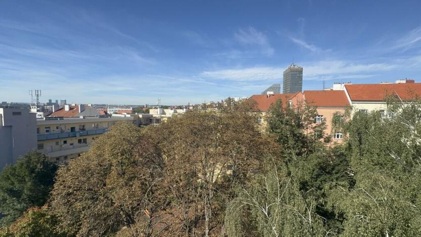 Prodej bytu 2+kk, Praha - Vinohrady, Hollarovo náměstí, 37 m2