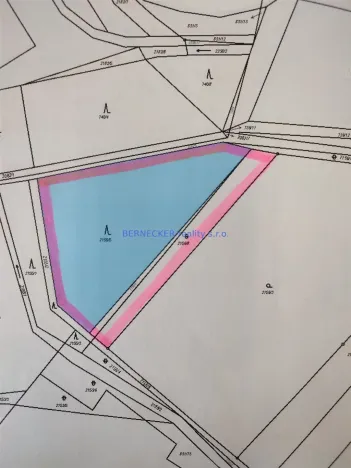 Prodej lesa, Rasošky, 5127 m2