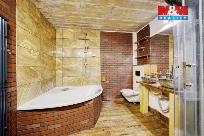 Prodej rodinného domu, Bor - Vysočany, 316 m2