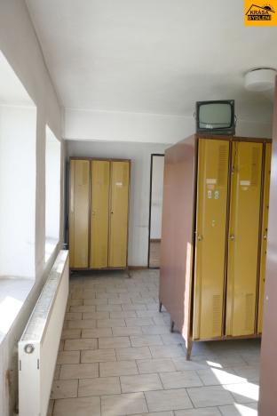 Prodej výrobních prostor, Moravec, 3983 m2