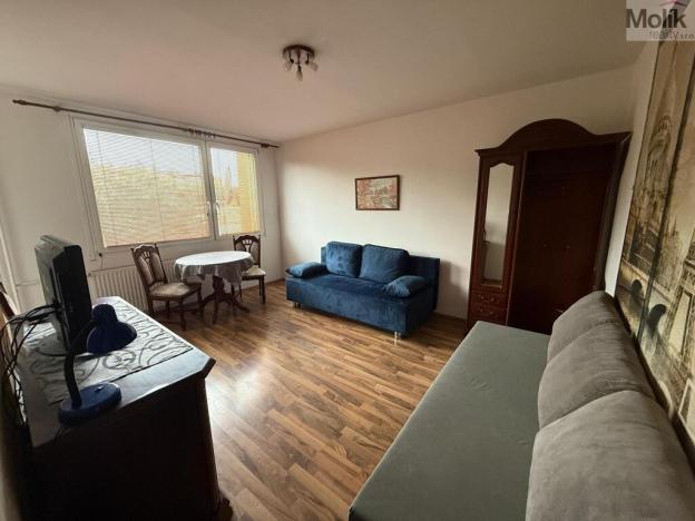 Pronájem bytu 1+kk, Most, K. H. Borovského, 26 m2