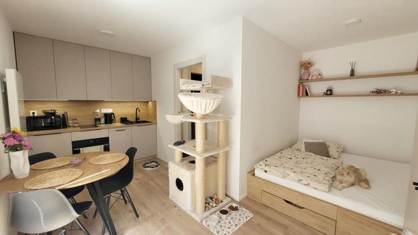 Pronájem bytu 1+kk, Praha - Strašnice, Strančická, 33 m2