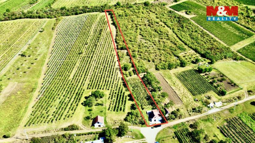 Prodej vinného sklepa, Perná, 31 m2