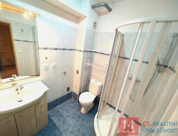 Prodej bytu 1+kk, Znojmo, Družstevní, 29 m2