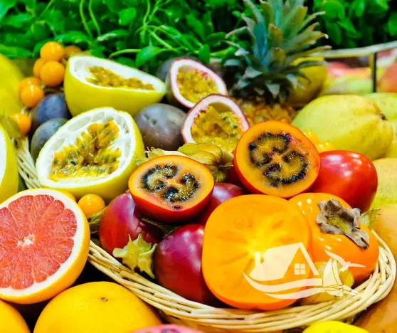 Prodej bytu 2+kk, Pattaya, Thajsko, 39 m2