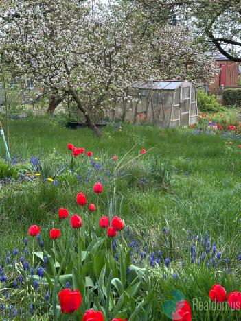 Prodej pozemku pro bydlení, Říčany, Na Ladech, 929 m2