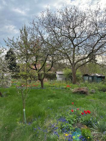 Prodej pozemku pro bydlení, Říčany, Na Ladech, 929 m2