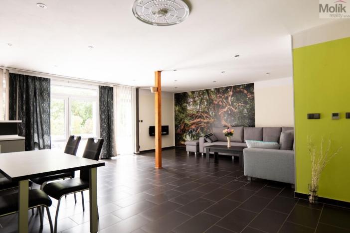 Pronájem rodinného domu, Skršín, 500 m2