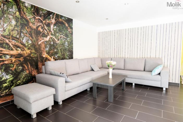 Pronájem rodinného domu, Skršín, 500 m2