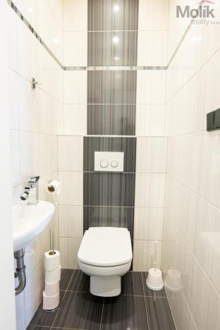 Pronájem rodinného domu, Skršín, 500 m2