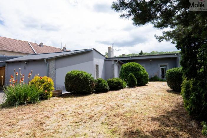 Pronájem rodinného domu, Skršín, 500 m2