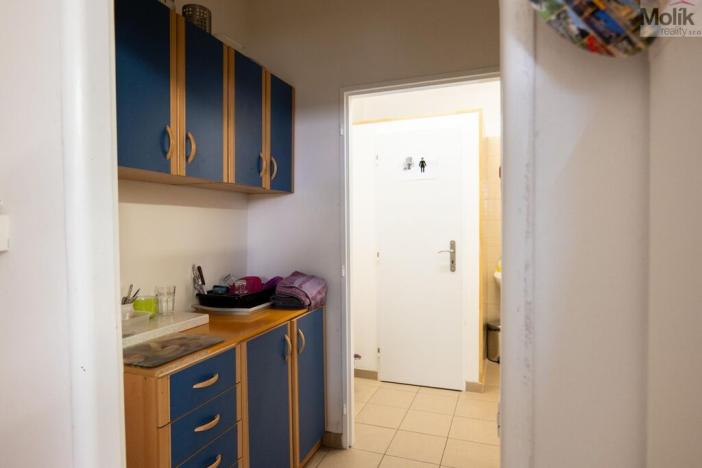 Pronájem rodinného domu, Skršín, 500 m2