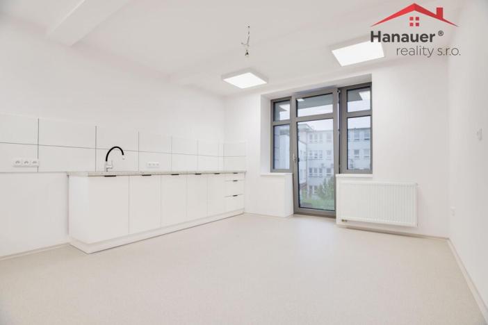 Pronájem ordinace, Ústí nad Labem - Ústí nad Labem-centrum, Koněvova, 120 m2