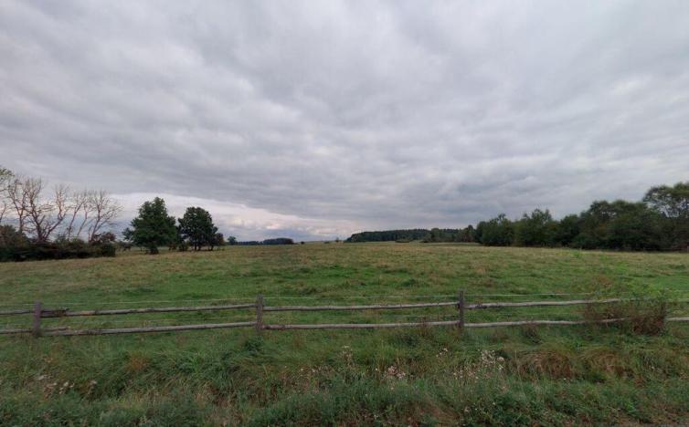 Prodej pole, Spálené Poříčí - Struhaře, 12536 m2