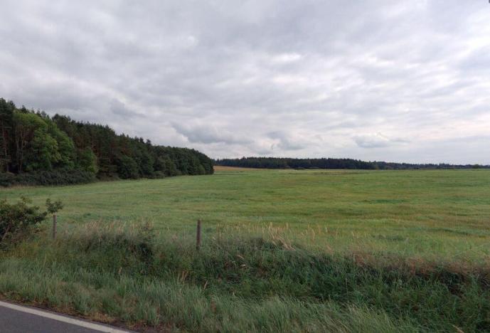 Prodej pole, Spálené Poříčí - Struhaře, 12536 m2