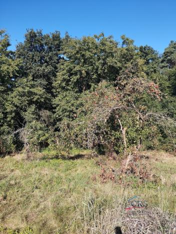 Prodej pozemku pro bydlení, Krupá, 722 m2