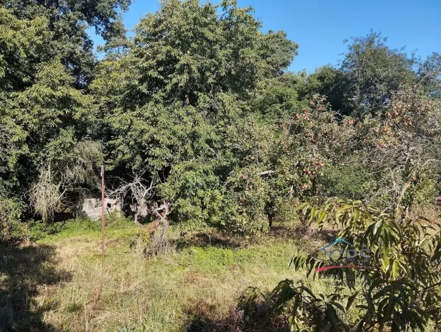 Prodej pozemku pro bydlení, Krupá, 722 m2