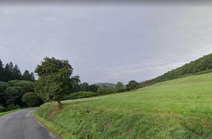 Prodej louky, Broumy, 8710 m2