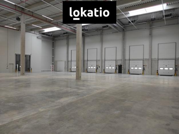 Pronájem skladu, Kozomín, 3858 m2