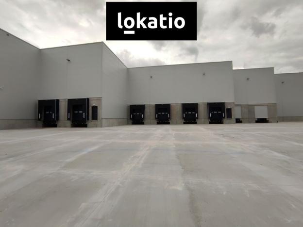 Pronájem skladu, Kozomín, 3858 m2