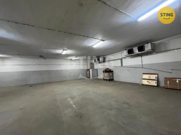 Pronájem skladu, Karviná, Lešetínská, 526 m2