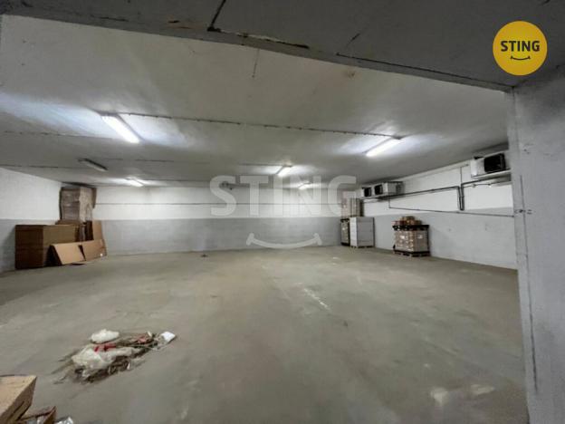 Pronájem skladu, Karviná, Lešetínská, 526 m2