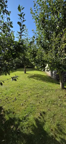 Prodej rodinného domu, Lipová-lázně - Bobrovník, 55 m2