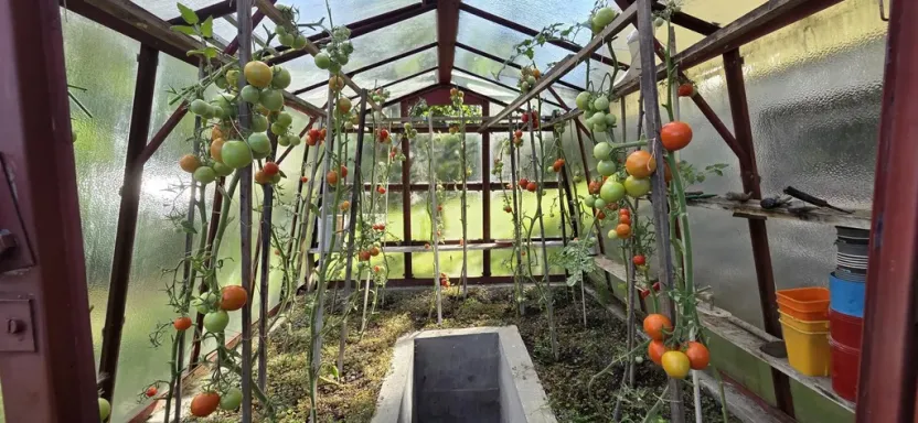 Prodej rodinného domu, Lipová-lázně - Bobrovník, 55 m2