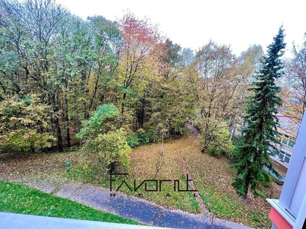 Pronájem bytu 2+kk, Ostrava, Lužická, 39 m2