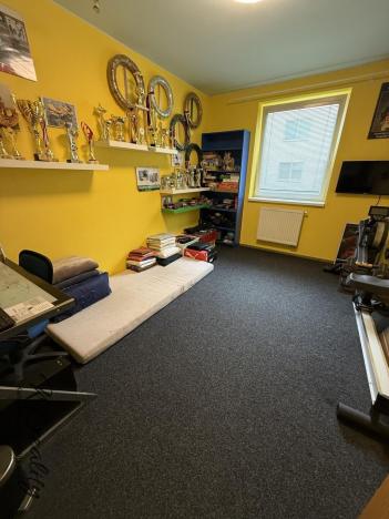 Prodej bytu 4+kk, Přerov - Přerov I-Město, Seifertova, 100 m2