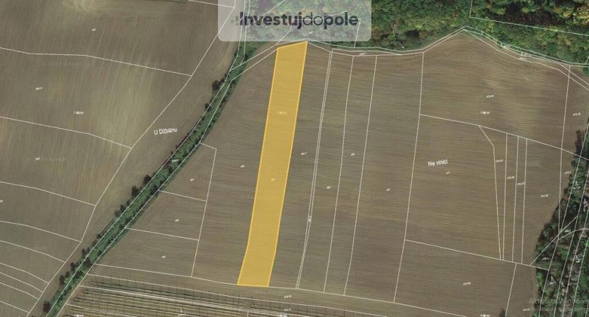 Prodej pole, Mutějovice, 6341 m2