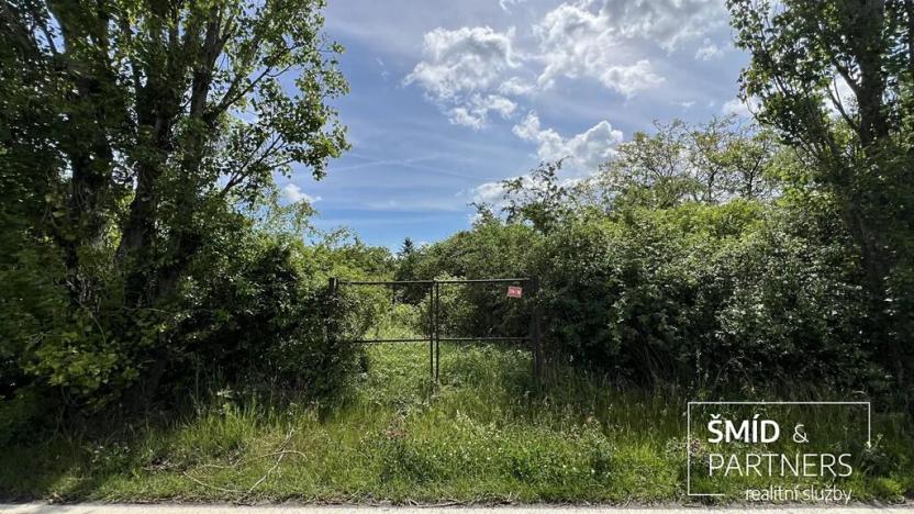 Pronájem zahrady, Pašinka, 800 m2