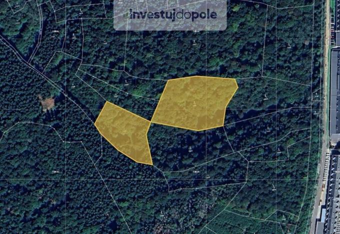 Prodej lesa, Vsetín, 11175 m2