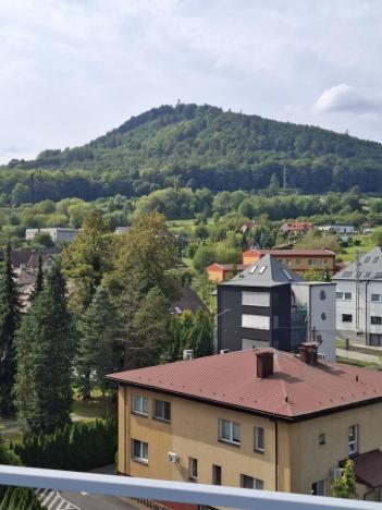 Pronájem bytu 1+1, Kopřivnice, Kpt. Nálepky, 37 m2