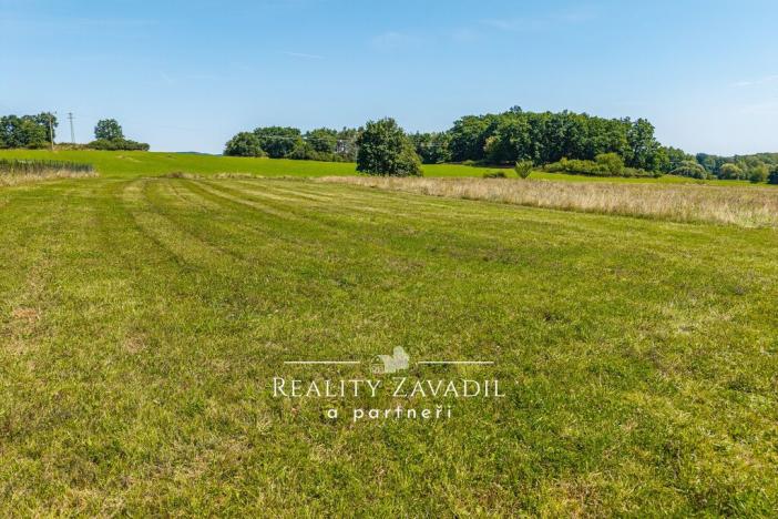 Prodej pozemku pro bydlení, Netvořice - Dunávice, 2291 m2