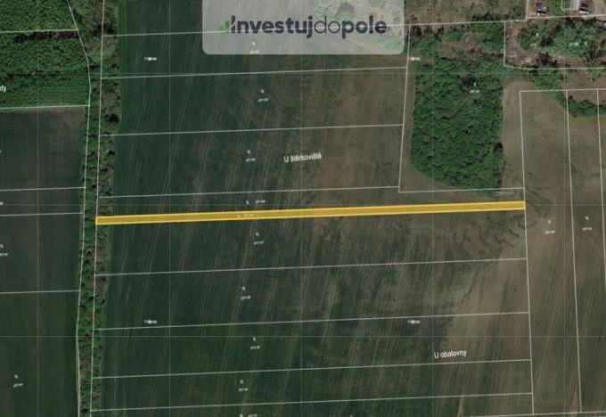 Prodej zahrady, Přítluky - Nové Mlýny, 1690 m2