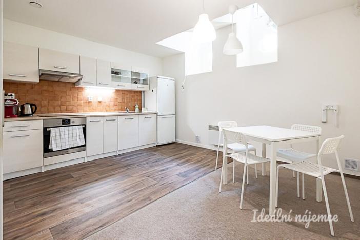 Pronájem bytu 1+kk, Praha - Vinohrady, Mánesova, 63 m2