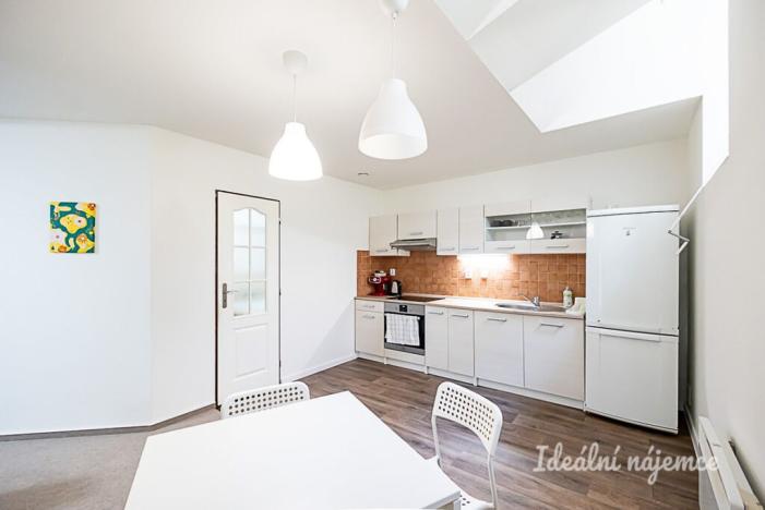 Pronájem bytu 1+kk, Praha - Vinohrady, Mánesova, 63 m2