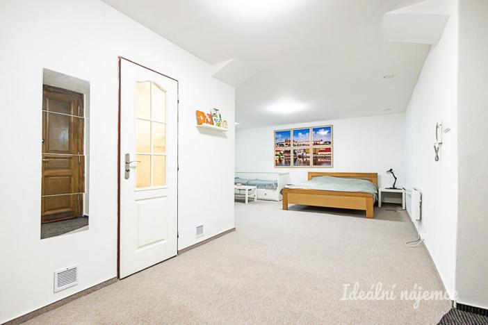 Pronájem bytu 1+kk, Praha - Vinohrady, Mánesova, 63 m2