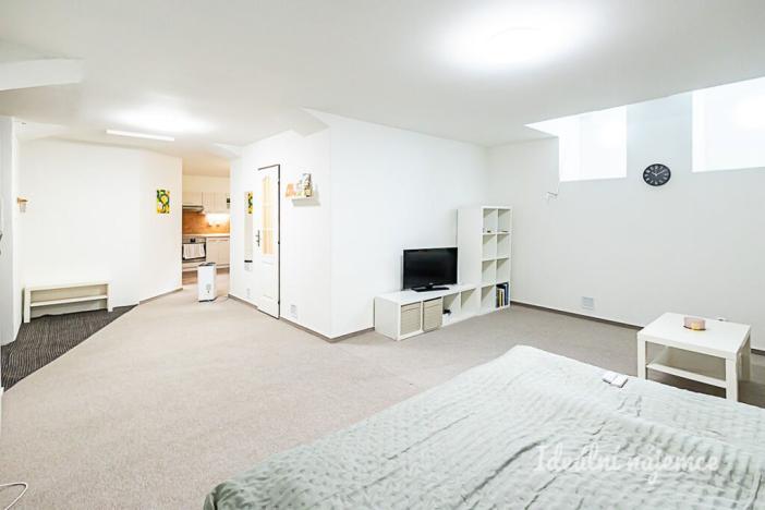 Pronájem bytu 1+kk, Praha - Vinohrady, Mánesova, 63 m2