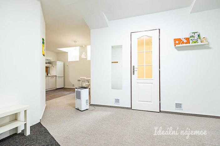 Pronájem bytu 1+kk, Praha - Vinohrady, Mánesova, 63 m2