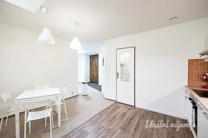 Pronájem bytu 1+kk, Praha - Vinohrady, Mánesova, 63 m2