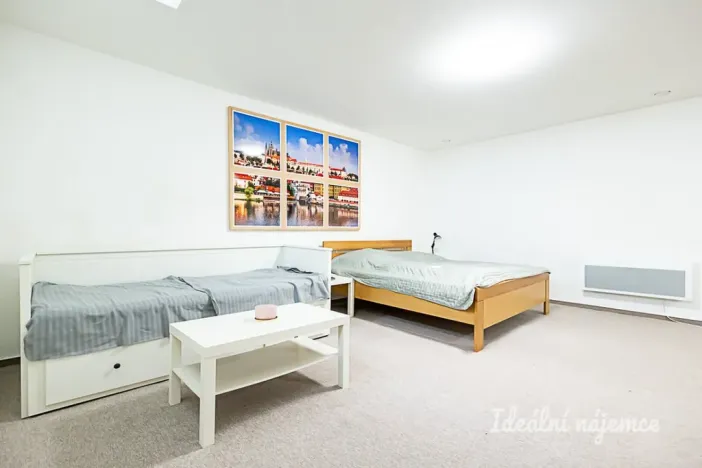 Pronájem bytu 1+kk, Praha - Vinohrady, Mánesova, 63 m2