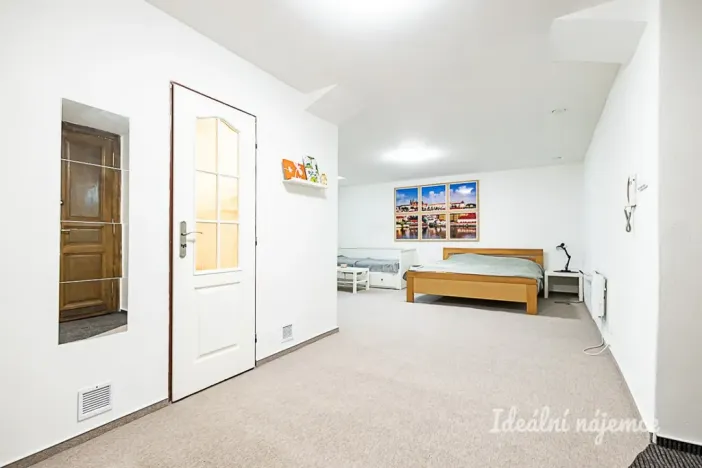 Pronájem bytu 1+kk, Praha - Vinohrady, Mánesova, 63 m2