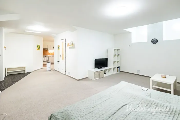 Pronájem bytu 1+kk, Praha - Vinohrady, Mánesova, 63 m2