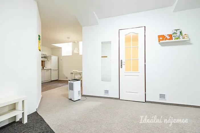 Pronájem bytu 1+kk, Praha - Vinohrady, Mánesova, 63 m2